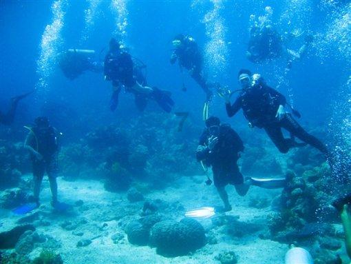 三峡旅游和丽江股份业绩大幅预增,旅游板块火了