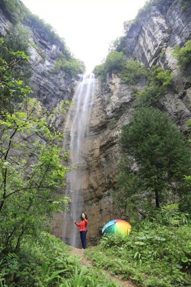 逃离太古森林