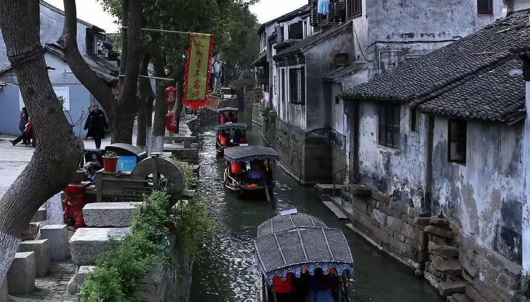淘气兔救援